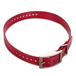  1-inch Collar Strap, Red elektrinė apykaklė