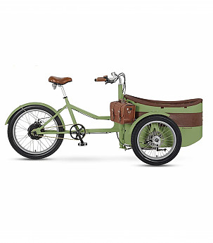 RAYVOLT Trixie Smart Hub Green V1 elektrinis dviratis